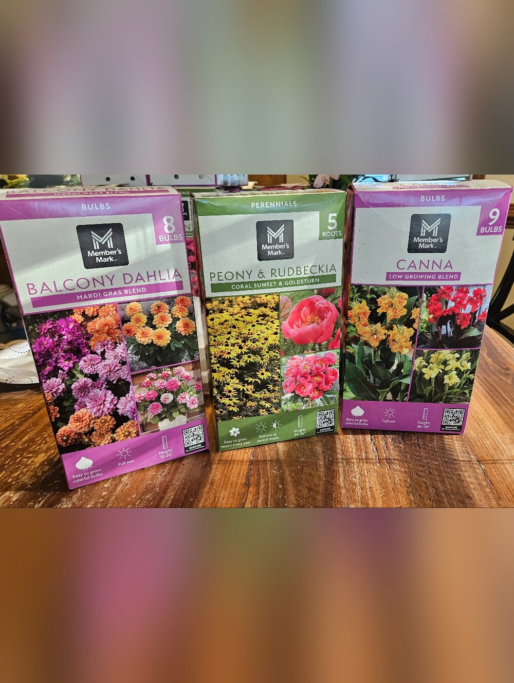 Dahlia, Canna, Peony & Rudbeckia Bulb Packs
